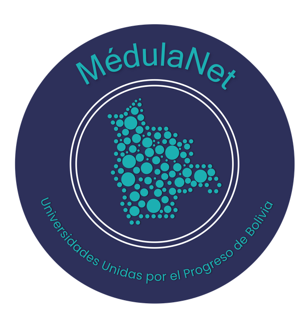 Consolidar una Red de Educación e Investigación con alcance internacional: MedulaNET